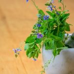 Alternativmedizin 150x150 - Alternativmedizin