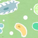 Effektive Mikroorganismen – ein wesentlicher Beitrag zur gesunden Ernaehrung 150x150 - Effektive Mikroorganismen – ein wesentlicher Beitrag zur gesunden Ernährung